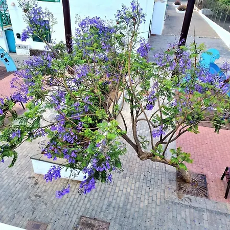 Apartamento Margarita Playa Blanca (Lanzarote)