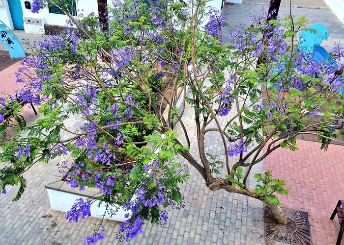 Apartamento Margarita Playa Blanca (Lanzarote)